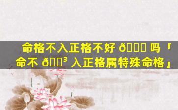 命格不入正格不好 🕊 吗「命不 🌳 入正格属特殊命格」